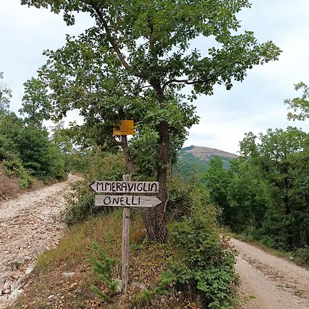 Oda ve Kahvaltı Rifugio Belvedere