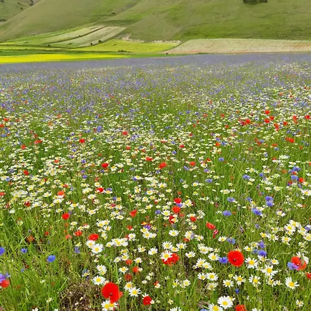 Oda ve Kahvaltı Rifugio Belvedere Onelli