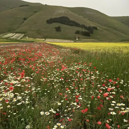 Oda ve Kahvaltı Rifugio Belvedere Onelli